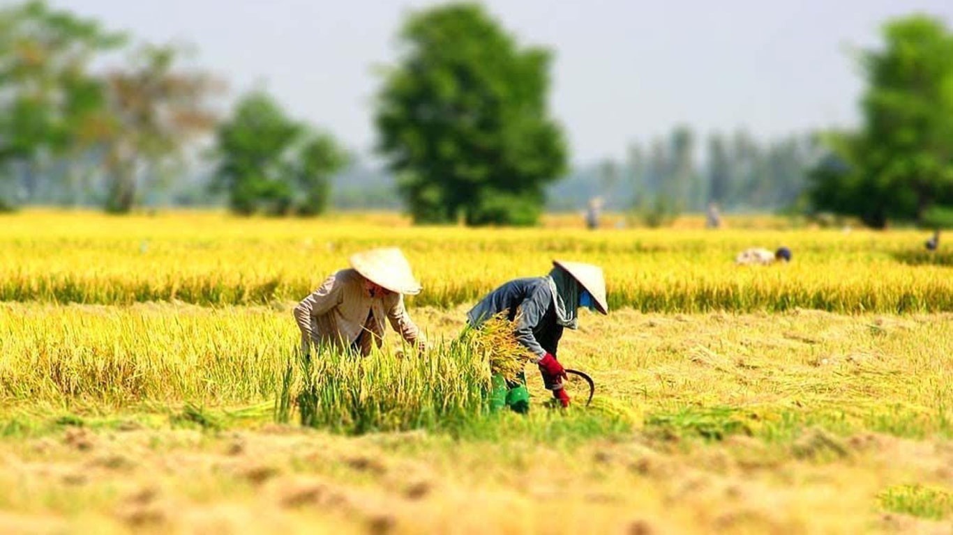 Đề xuất cơ chế hỗ trợ học nghề sát nhu cầu, gắn với việc làm cho lao động nông thôn