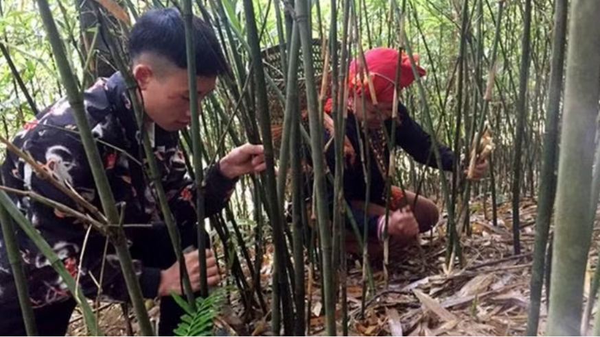 Tạp chí giáo dục