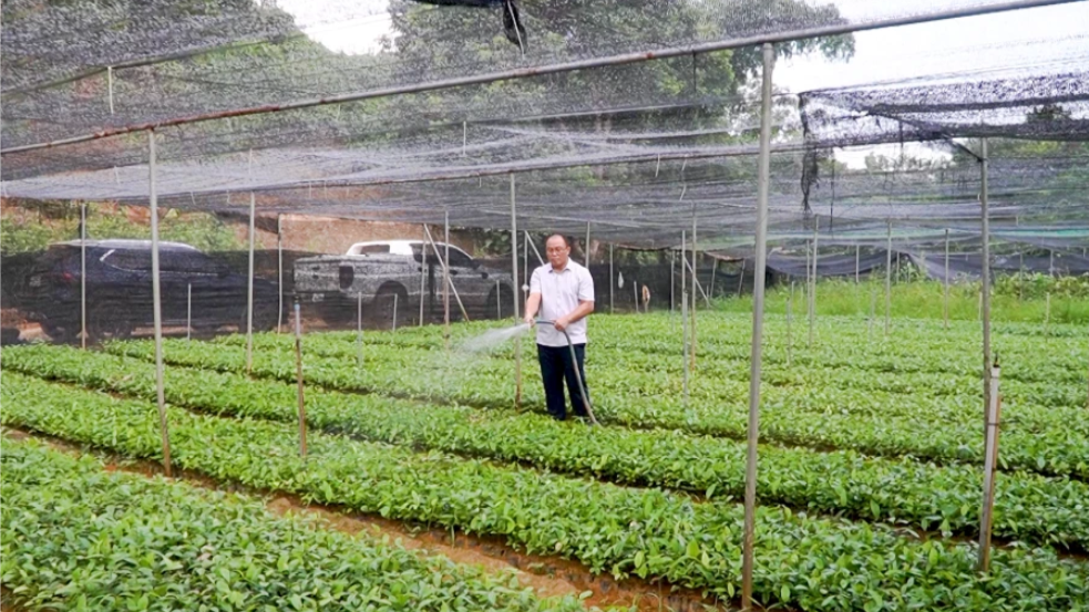 Học để thoát nghèo: Khi con chữ và tay nghề trở thành sinh kế