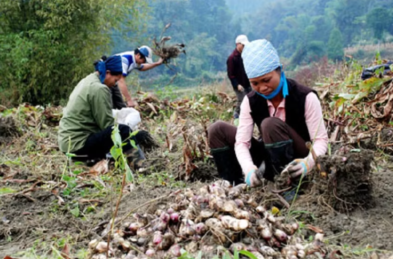 Tạp chí giáo dục