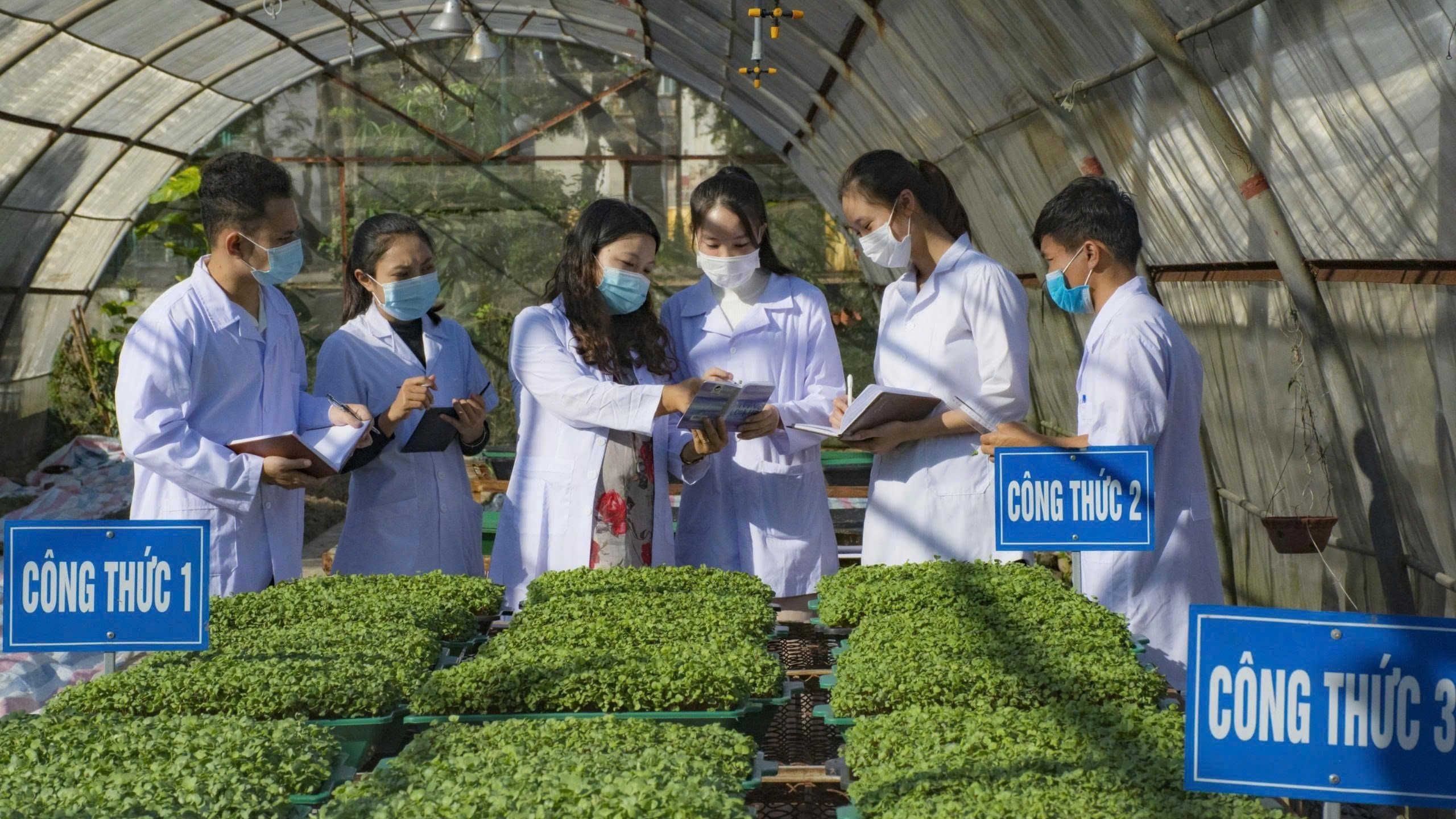 Đào tạo đại học phải gắn với năng lực số, trí tuệ nhân tạo và yêu cầu nghề nghiệp