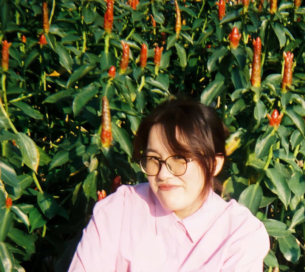 Model?.data?.author?.Name